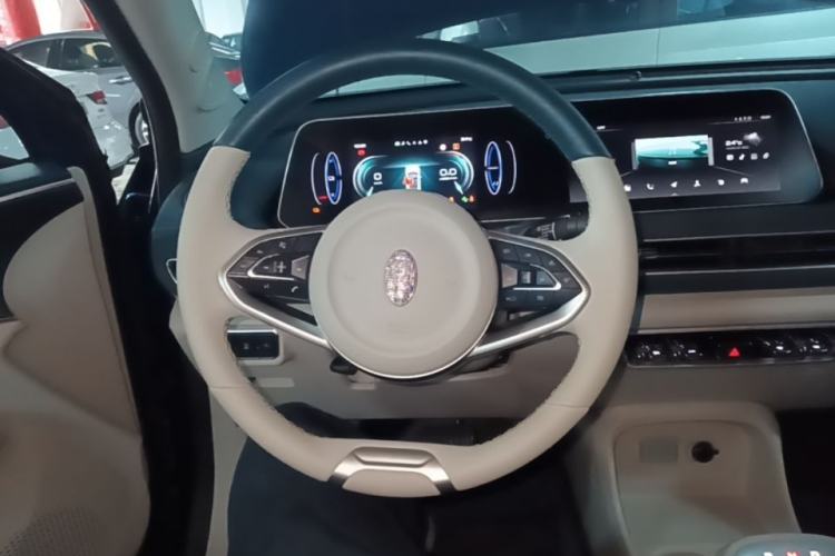 Used ORA Good Cat 2022 400km Standard Range Luxury Version Lithium Iron Phosphate Steering Wheel