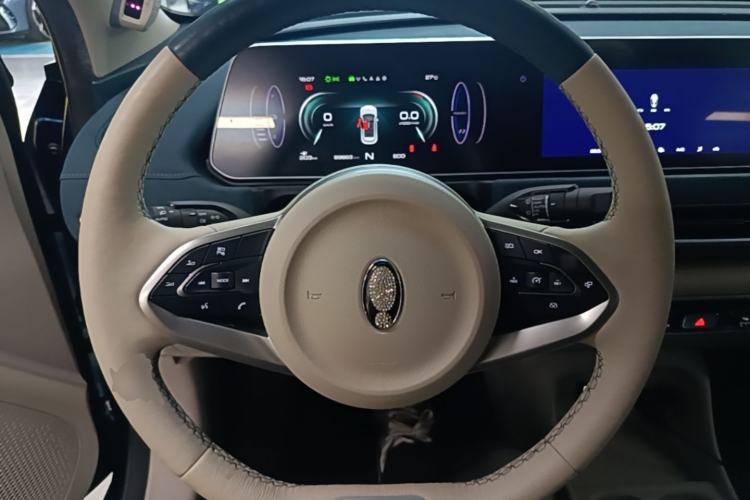 Used ORA Good Cat 2022 400km Standard Range Premium Version Lithium Iron Phosphate Steering Wheel