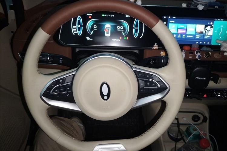 Used ORA Good Cat 2022 Morandi Edition 400km Standard Range Two-Week Young Enjoyment Version Lithium Iron Phosphate Steering Wheel