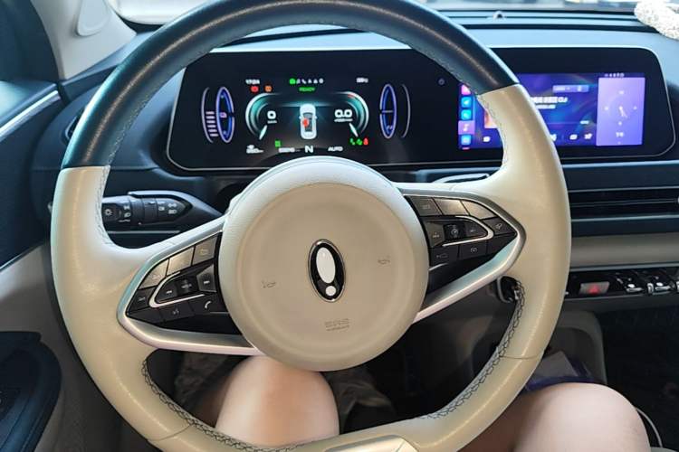 Used ORA Good Cat 2022 400km Standard Range Luxury Version Lithium Iron Phosphate Steering Wheel