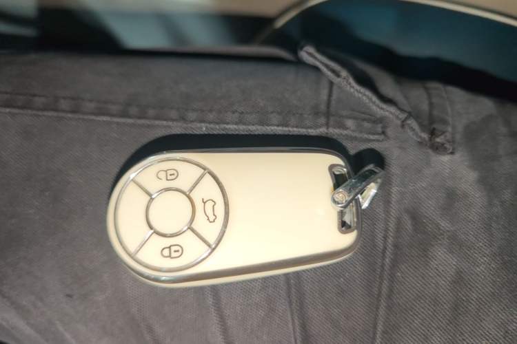 Used ORA Good Cat 2022 400km Standard Range Premium Version Lithium Iron Phosphate Vehicle Key