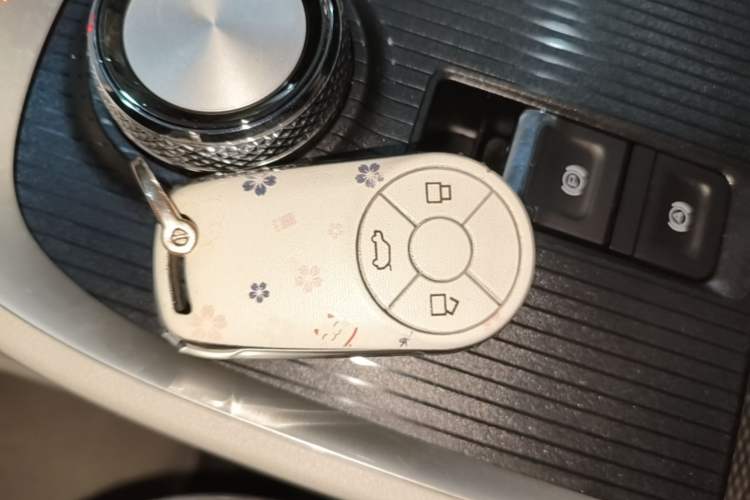 Used ORA Good Cat 2022 400km Standard Range Premium Version Lithium-Ion Battery Vehicle Key
