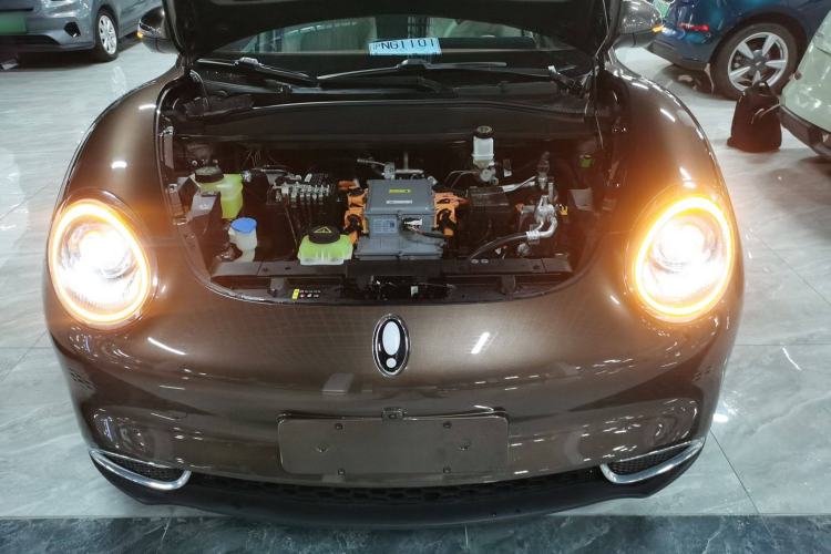 Used ORA Good Cat 2022 Morandi Edition 400km Standard Range Premium Version Lithium Iron Phosphate Engine Bay