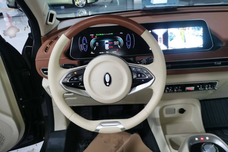Used ORA Good Cat 2022 Morandi Edition 400km Standard Range Premium Version Lithium Iron Phosphate Steering Wheel