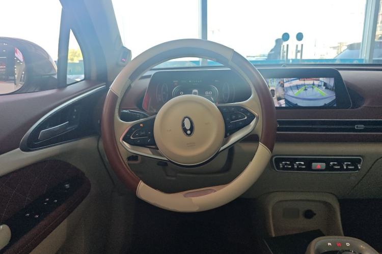 Used ORA Good Cat 2022 Morandi Edition 400km Standard Range Two-Week Young Enjoyment Version Lithium Iron Phosphate Steering Wheel