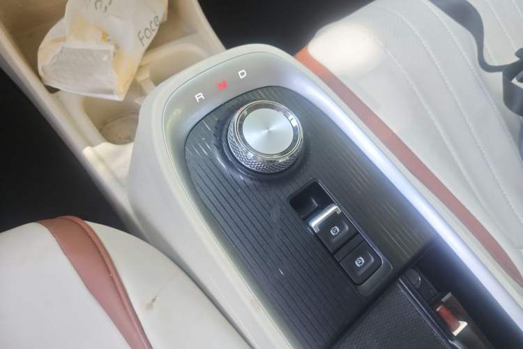 Used ORA Good Cat 2022 400km Standard Range Luxury Version Lithium Iron Phosphate Gear Lever