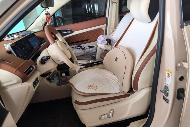 Used ORA Good Cat 2022 Morandi Edition 400km Standard Range Two-Week Young Enjoyment Version Lithium Iron Phosphate Left Front Seat