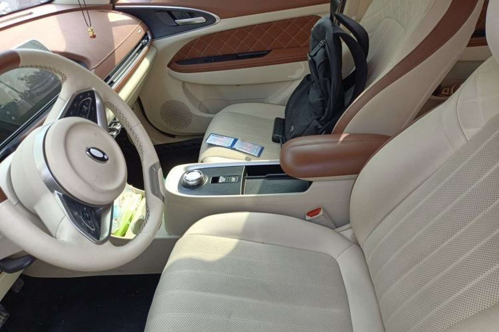 Used ORA Good Cat 2022 Morandi Edition 400km Standard Range Premium Version Lithium-Ion Battery Left Front Seat