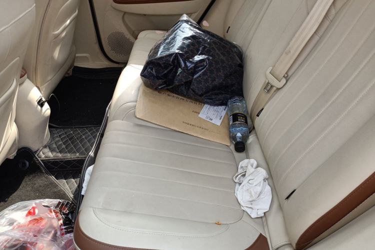 Used ORA Good Cat 2022 Morandi Edition 400km Standard Range Premium Version Lithium-Ion Battery Left Rear Seat