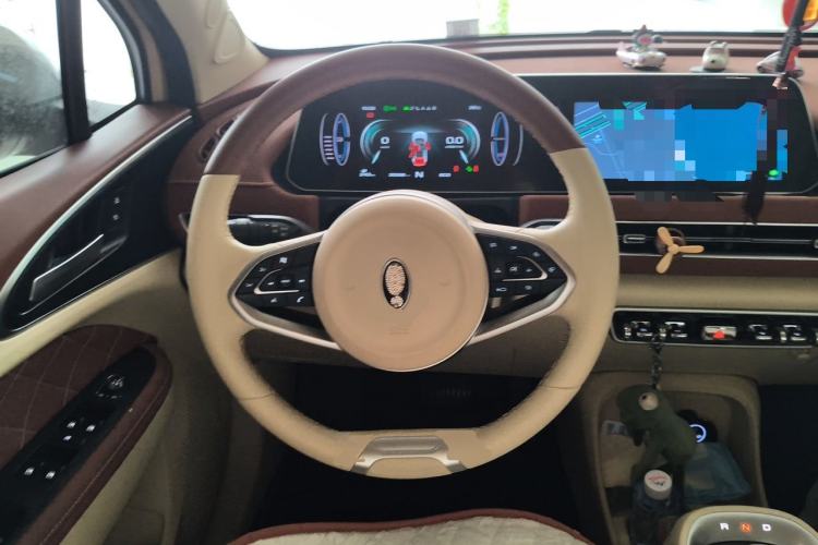 Used ORA Good Cat 2022 Morandi Edition 400km Standard Range Two-Week Young Enjoyment Version Lithium Iron Phosphate Steering Wheel