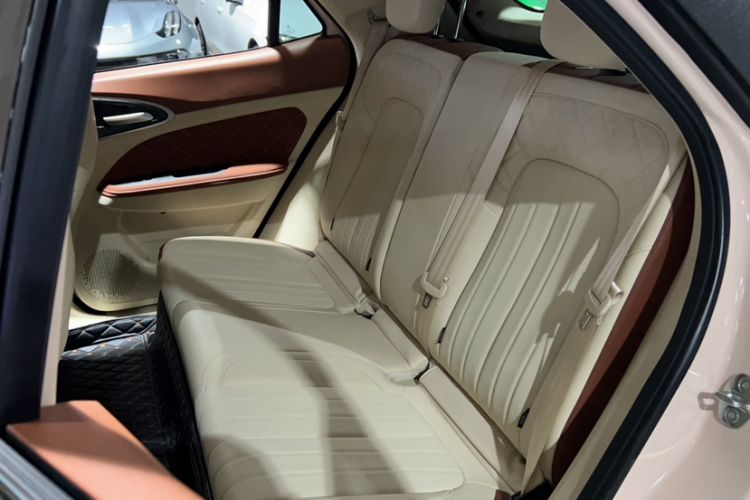 Used ORA Good Cat 2022 400km Standard Range Luxury Version Lithium Iron Phosphate Interior 2