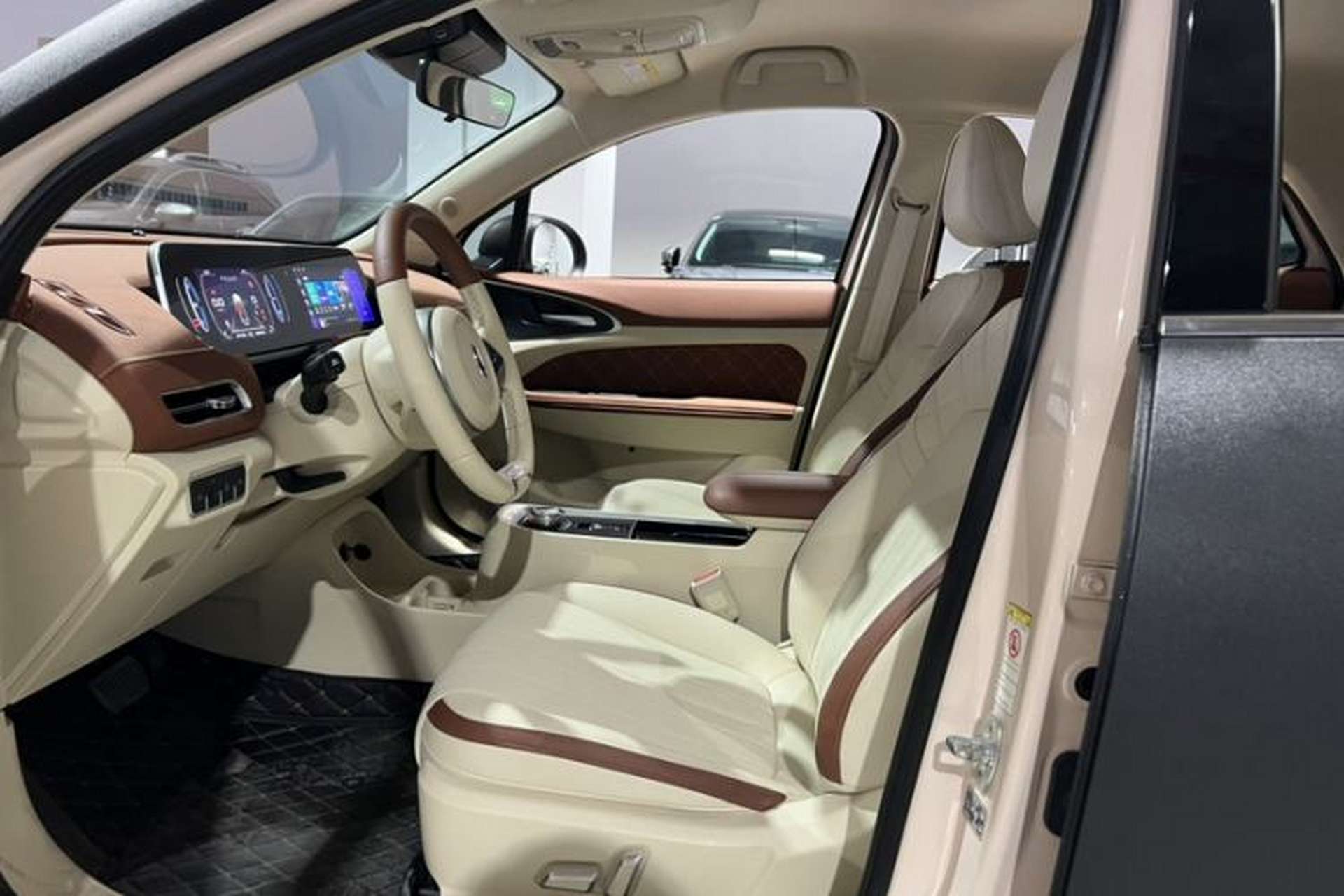 Used ORA Good Cat 2022 400km Standard Range Luxury Version Lithium Iron Phosphate Left Front Seat