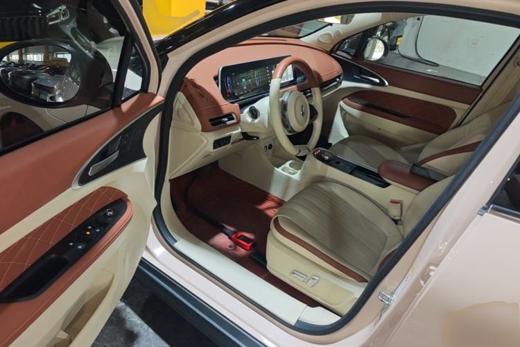 Used ORA Good Cat 2022 400km Standard Range Luxury Version Lithium Iron Phosphate Driver Seat
