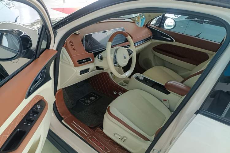 Used ORA Good Cat 2022 Morandi Edition 400km Standard Range Premium Version Lithium Iron Phosphate Driver Seat