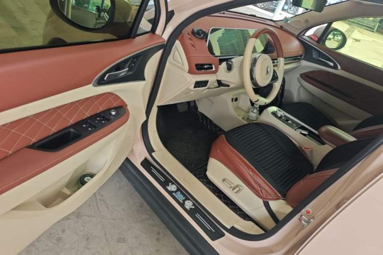 Used ORA Good Cat 2022 400km Standard Range Luxury Version Lithium Iron Phosphate Driver Seat