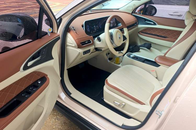 Used ORA Good Cat 2022 400km Standard Range Luxury Version Lithium Iron Phosphate Driver Seat