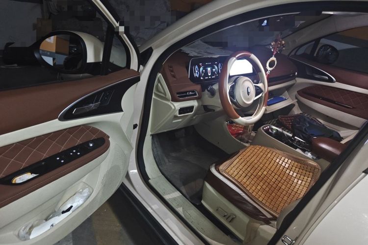 Used ORA Good Cat 2022 Morandi Edition 400km Standard Range Luxury Version Lithium-Ion Battery Driver Seat