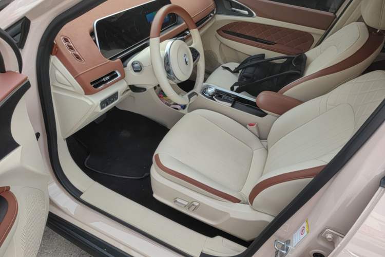 Used ORA Good Cat 2022 400km Standard Range Luxury Version Lithium Iron Phosphate Driver Seat
