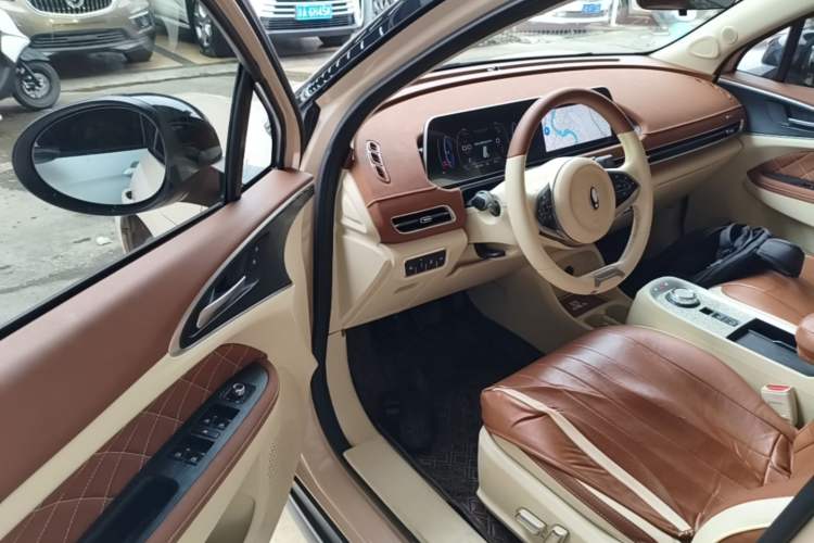 Used ORA Good Cat 2022 400km Standard Range Luxury Version Ternary Lithium Driver Seat