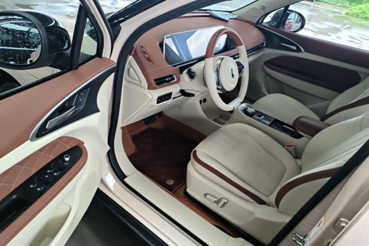 Used ORA Good Cat 2022 Morandi Edition 400km Standard Range Luxury Version Lithium Iron Phosphate Driver Seat