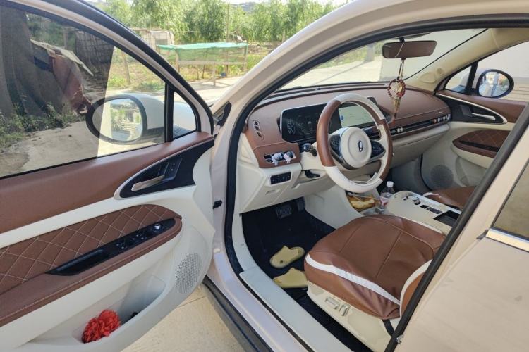 Used ORA Good Cat 2022 400km Standard Range Luxury Version Lithium Iron Phosphate Driver Seat