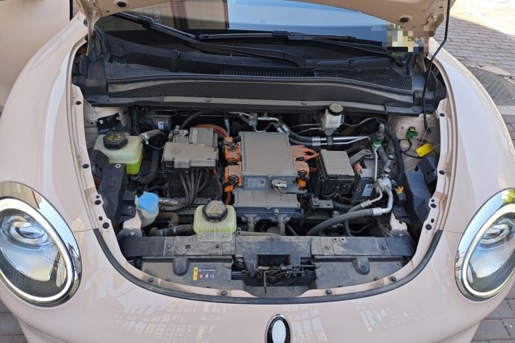 Used ORA Good Cat 2022 Morandi Edition 400km Standard Range Luxury Version Lithium-Ion Battery Engine Bay