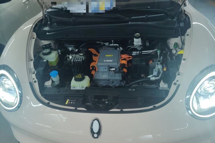 Used ORA Good Cat 2022 Morandi Edition 400km Standard Range Luxury Version Lithium-Ion Battery Engine Bay