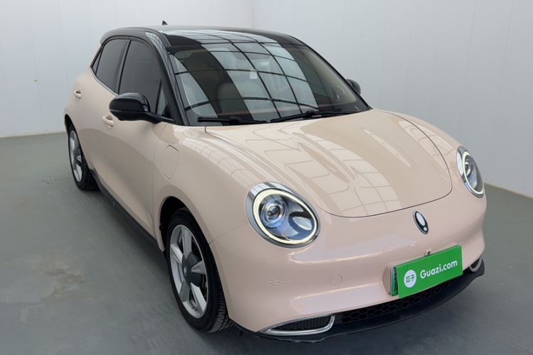 Used ORA Good Cat 2022 400km Standard Range Luxury Version Lithium Iron Phosphate Exterior 6
