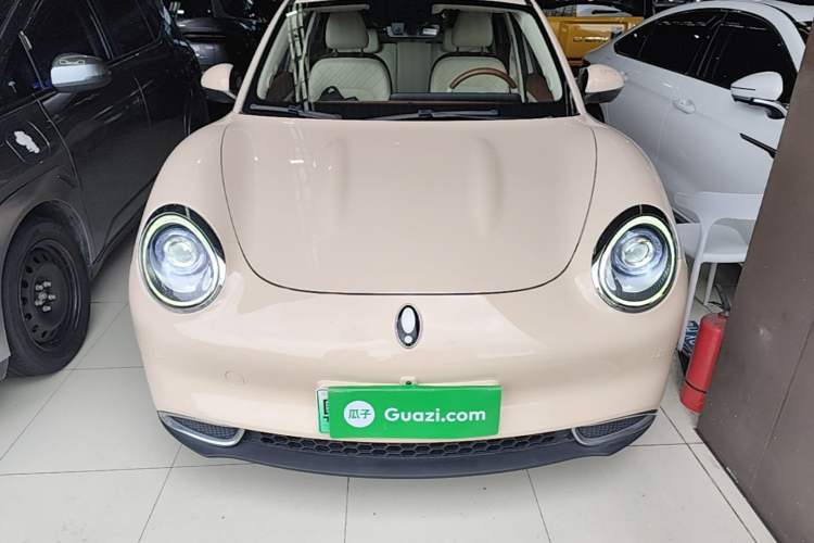 Used ORA Good Cat 2022 400km Standard Range Luxury Version Lithium Iron Phosphate Front