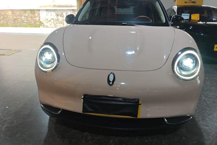 Used ORA Good Cat 2022 400km Standard Range Luxury Version Lithium Iron Phosphate Front