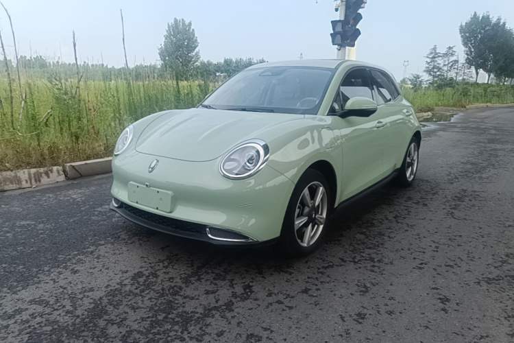 Used ORA Good Cat 2022 Morandi Edition 400km Standard Range Premium Version Lithium-Ion Battery Guazi used car, China used car export, Used car for sale, Used  cars, Cheapest cars for sale