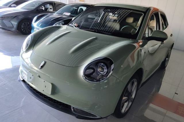 Used ORA Good Cat 2022 400km Standard Range Luxury Version Ternary Lithium