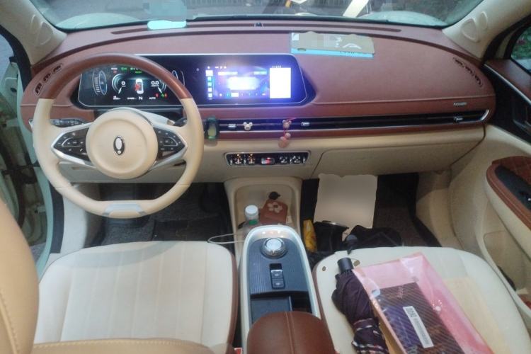 Used ORA Good Cat 2022 Morandi Edition 400km Standard Range Luxury Version Lithium Iron Phosphate Center Console