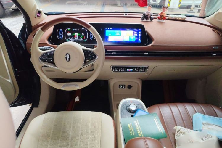 Used ORA Good Cat 2022 Morandi Edition 400km Standard Range Premium Version Lithium-Ion Battery Center Console