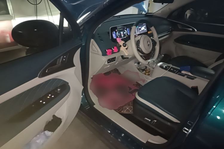 Used ORA Good Cat 2022 Morandi Edition 400km Standard Range Luxury Version Lithium-Ion Battery Driver Seat