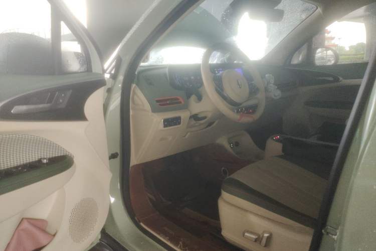 Used ORA Good Cat 2022 Morandi Edition 400km Standard Range Premium Version Lithium Iron Phosphate Driver Seat