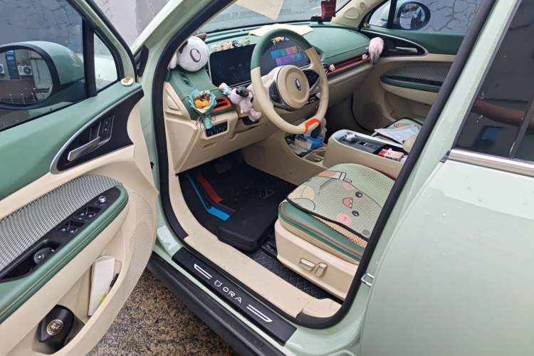 Used ORA Good Cat 2022 Morandi Edition 400km Standard Range Two-Week Young Enjoyment Version Lithium Iron Phosphate Driver Seat