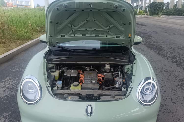 Used ORA Good Cat 2022 Morandi Edition 400km Standard Range Premium Version Lithium-Ion Battery Engine Bay