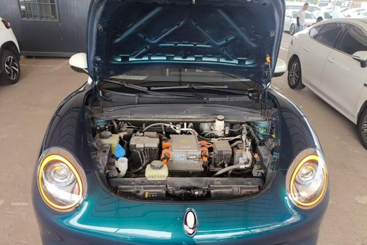 Used ORA Good Cat 2022 Morandi Edition 400km Standard Range Luxury Version Lithium-Ion Battery Engine Bay