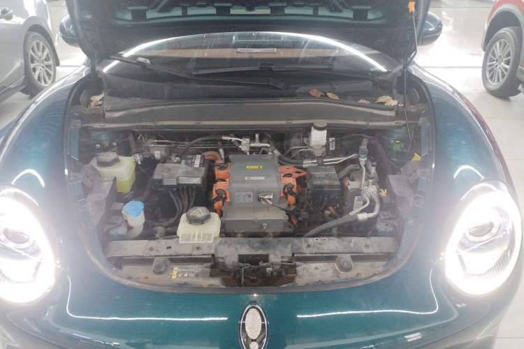 Used ORA Good Cat 2022 Morandi Edition 400km Standard Range Luxury Version Lithium Iron Phosphate Engine Bay