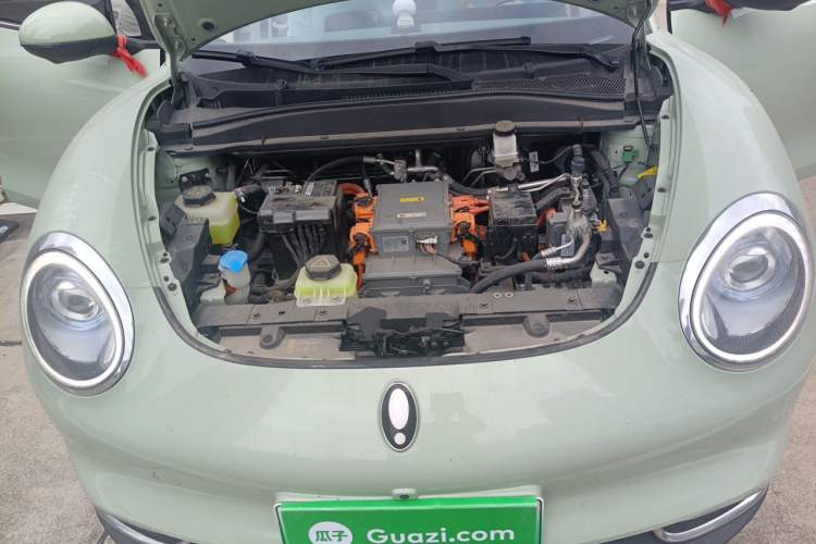 Used ORA Good Cat 2022 Morandi Edition 400km Standard Range Luxury Version Lithium Iron Phosphate Engine Bay