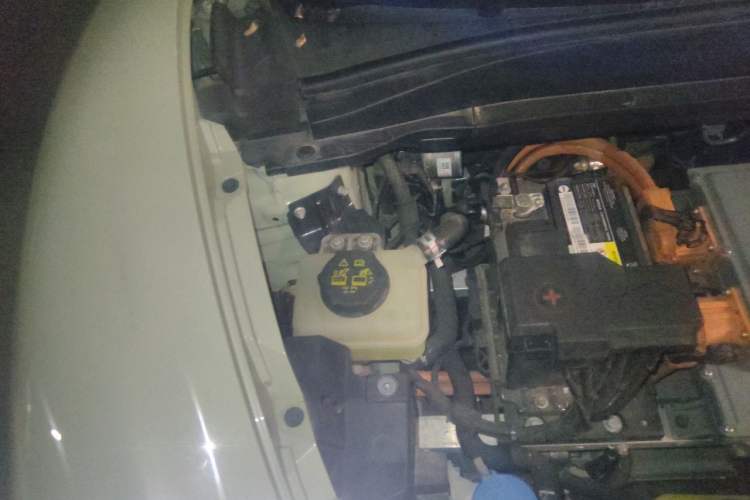 Used ORA Good Cat 2022 Morandi Edition 400km Standard Range Luxury Version Lithium Iron Phosphate Engine Bay Right
