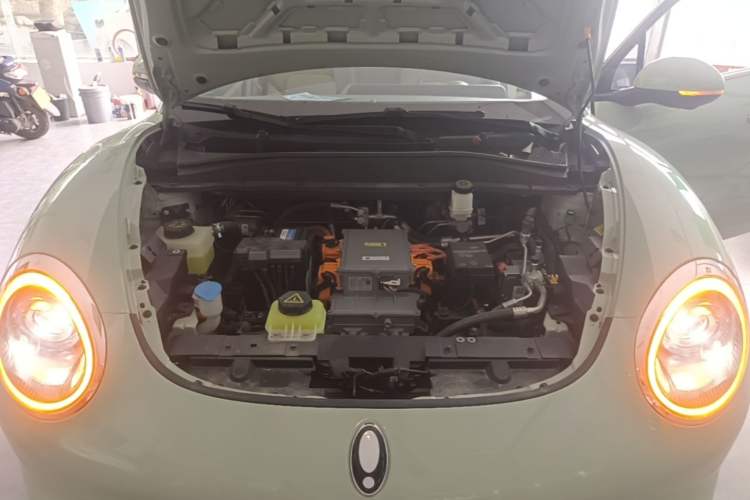 Used ORA Good Cat 2022 Morandi Edition 400km Standard Range Two-Week Young Enjoyment Version Lithium Iron Phosphate Engine Bay