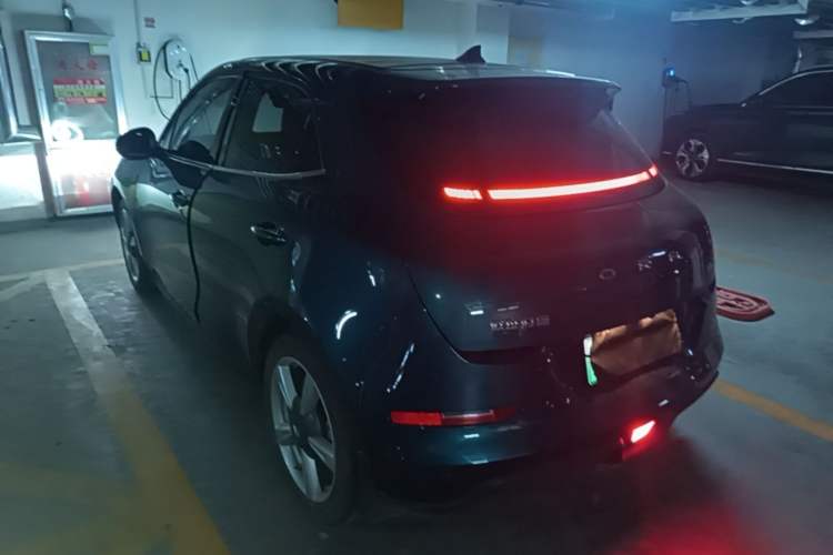 Used ORA Good Cat 2022 Morandi Edition 400km Standard Range Luxury Version Lithium-Ion Battery Exterior 2