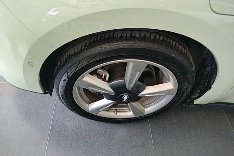 Used ORA Good Cat 2022 Morandi Edition 400km Standard Range Luxury Version Lithium-Ion Battery Exterior 4
