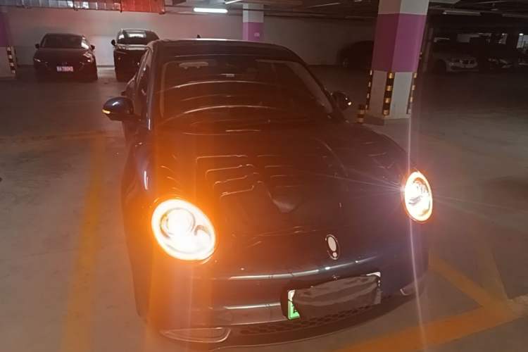 Used ORA Good Cat 2022 Morandi Edition 400km Standard Range Luxury Version Lithium-Ion Battery Front
