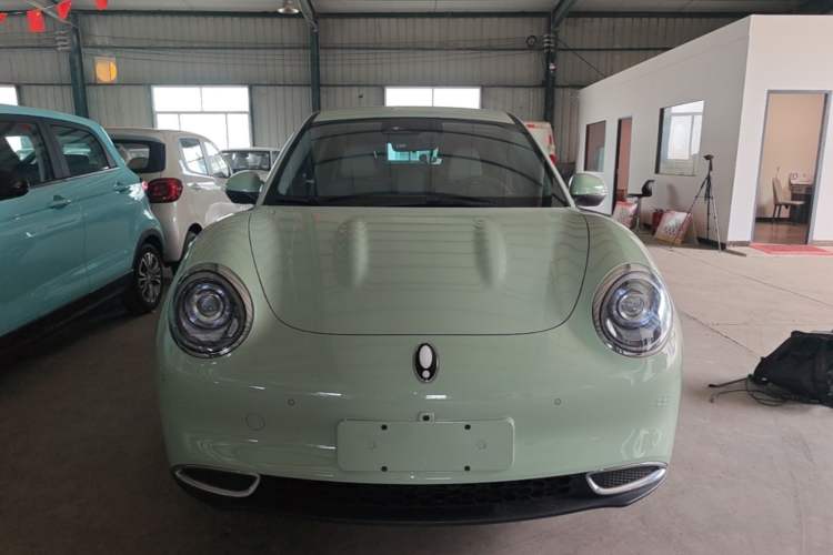 Used ORA Good Cat 2022 Morandi Edition 400km Standard Range Luxury Version Lithium-Ion Battery Front