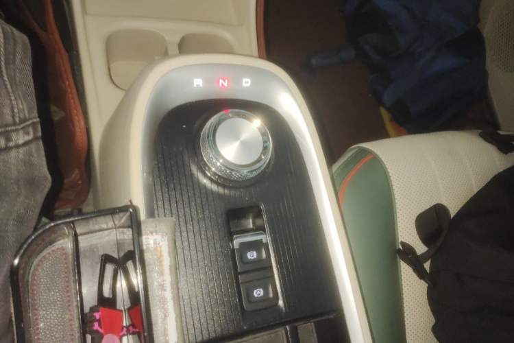 Used ORA Good Cat 2022 Morandi Edition 400km Standard Range Premium Version Lithium Iron Phosphate Gear Lever