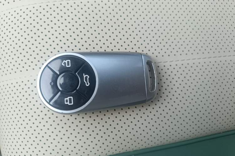 Used ORA Good Cat 2022 Morandi Edition 400km Standard Range Premium Version Lithium-Ion Battery Interior 1