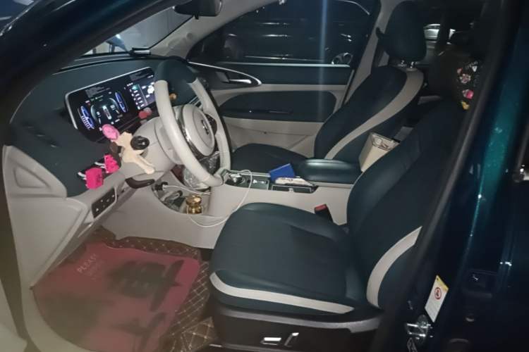 Used ORA Good Cat 2022 Morandi Edition 400km Standard Range Luxury Version Lithium-Ion Battery Left Front Seat